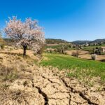 Avril 2026 : Le Mois Le Plus Sec En France Depuis 1959