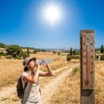 Canicule en France : Semaine Très Chaude et Ensoleillée