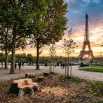 Champ de Mars Arbres Abattus : Faut-il S’inquiéter ?
