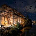 Chauves-Souris Protégées : Un Chantier Toulousain Retardé de Plusieurs Mois