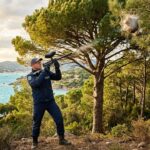 Chenilles Processionnaires : Paintball Écologique dans le Golfe de Saint-Tropez