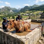 Cheval Piégé Dans Une Cuve : Un Sauvetage Dramatique Près De Perpignan