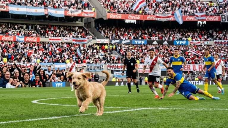 Chien Fugueur Interrompt Match de Football et Retrouve sa Maîtresse