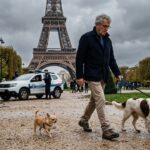 Chihuahua Sans Laisse à Paris : Une Promenade Tourne Mal au Champ-de-Mars