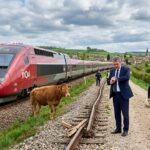 Collision TGV et Vache : Ministre Annule Visite en Bourgogne