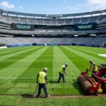 Coupe du Monde 2026 : Meilleur Gazon Mondial Posé au Stade Final