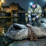 Crocodile Mort dans un Canal à Roubaix : Découverte Insolite