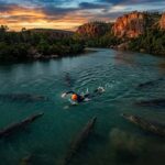 Défi Extrême : Nager 55 Km Dans Une Rivière Infestée De Crocodiles En Australie