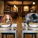 Dogstronomy à Lyon : Premier Restaurant Gastronomique pour Chiens en France