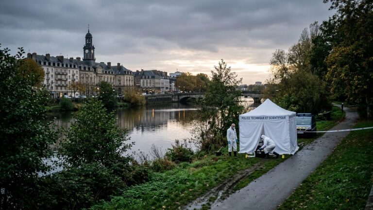 Drame à Rennes : Enfant de 11 Ans Retrouvé Mort, Deux Ados en Garde à Vue