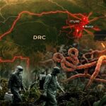 Ebola en RDC : Urgence Internationale Déclarée par l&rsquo;OMS