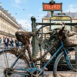 Essaim d&rsquo;Abeilles sur un Vélo à Paris : Scène Insolite au Palais Royal
