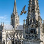 Faucons Pèlerins Nichent Sur La Cathédrale D’Évreux