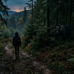 Femme Tuée par un Ours en Pologne : Tragédie dans les Bieszczady