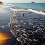 Fuite de Pétrole au Mexique : 600 Km de Côtes Dévastées dans le Golfe