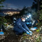 Hantavirus à Ushuaïa : Scientifiques en Mission pour Traquer la Souche Andes