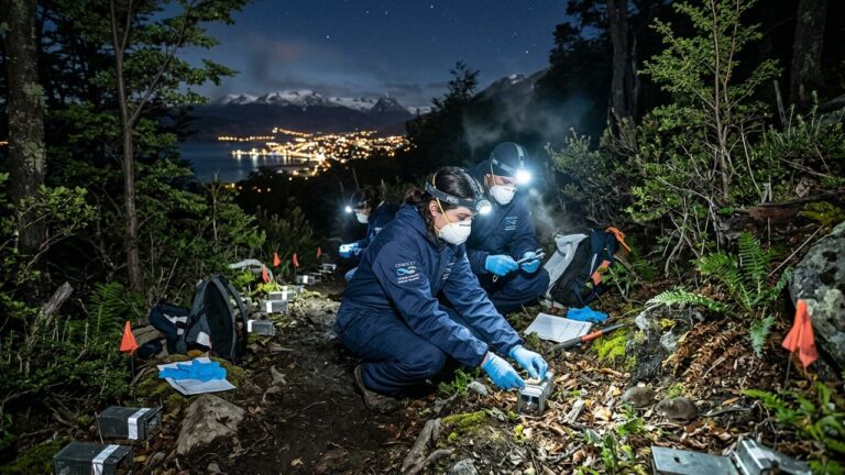 Hantavirus à Ushuaïa : Scientifiques en Mission pour Traquer la Souche Andes