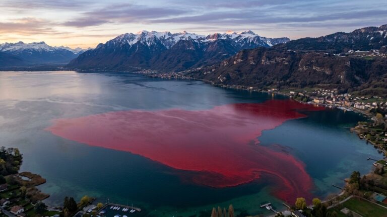 Haute-Savoie : Une Nappe Rouge Géante Recouvre le Lac Léman