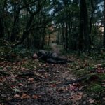 Homme Blessé en Forêt Allemande : Deux Suspects Arrêtés en France