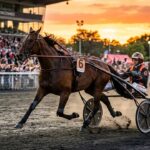 Idylle Express Domine le Quinté de Vincennes