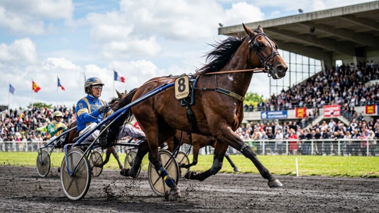 Inexess Bleu Domine le Prix des Ducs de Normandie