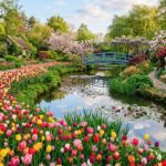 Jardin Van Beek : Le Paradis Floral de l&rsquo;Oise dans l&rsquo;Ombre de Giverny