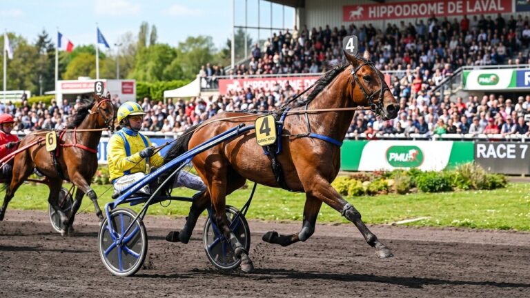 Karnac Wood Domine le Quinté de Laval : Victoire de Patron