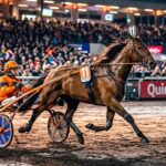 Max Occagnes Triomphe Au Quinté De Vincennes