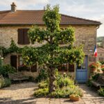 Meuse : Un Poirier Sculpté en Croix de Lorraine Fascine le Village