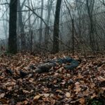 Mort Mystérieuse en Haute-Garonne : L&rsquo;Énigme Persistante de Christian
