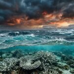 Océans Vers Records Chaleur Avant Retour El Niño