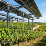 Ombrières Photovoltaïques : Protection Innovante des Vignes contre Gel, Grêle et Chaleur