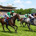 Poules d&rsquo;Essai ParisLongchamp : France Irlande 1 Partout