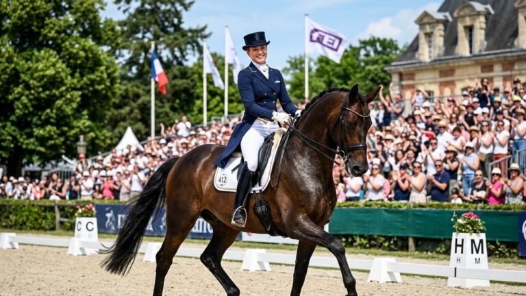 Pourquoi les Cavaliers de Dressage Sont Plus Fun Qu’il N’y Paraît