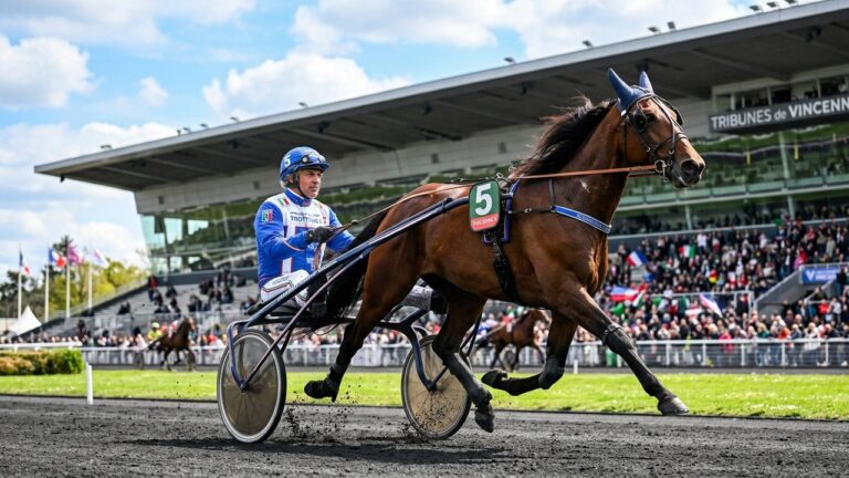 Quinté Mercredi Vincennes : Andrea Guzzinati et Ses Deux Atouts