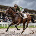 Quinté Paris Longchamp :Generating the horse racing article Freja Triomphe sur Terrain Lourd