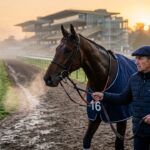 Quinté ParisLongchamp : Ludovic Gadbin, la Régularité au Service de Mister George