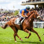Quinté ParisLongchamp : Pierre Remoué face au défi des pros avec Dempy