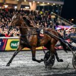 Quinté Vincennes : L’Amour Suprême S’Impose avec Maîtrise