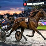 Quinté Vincennes : Noé Perron et Little du Rib Vers un Avenir Prometteur