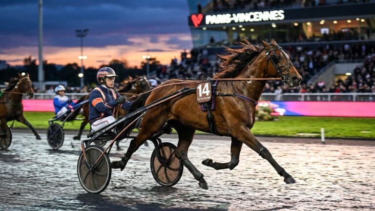 Quinté Vincennes : Noé Perron et Little du Rib Vers un Avenir Prometteur