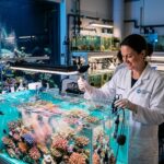 Renaissance des Coraux : Le Laboratoire Qui Défie le Réchauffement Climatique