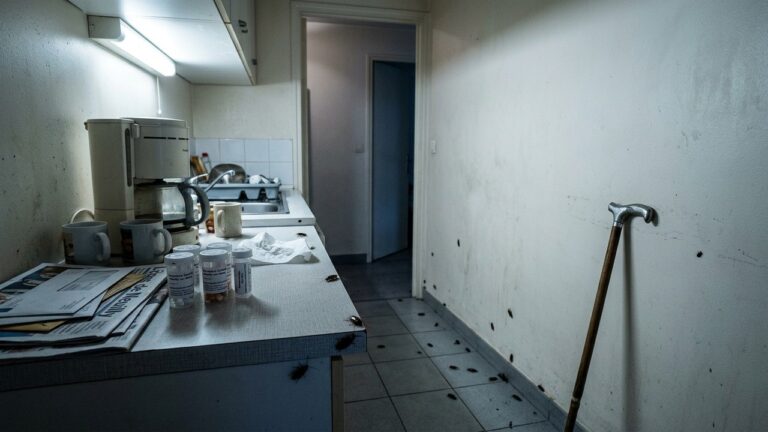 Résidence Seniors Infestée de Cafards à Neuilly : Alerte Sanitaire