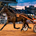 Rocky Mom Triomphe au Quinté de Vincennes : Une Victoire Impressionnante