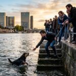Sauvetage Émouvant d’un Chien Tombé dans la Seine à Paris