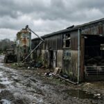 Scandale dans une Porcherie du Finistère : Conditions Inhumaines Dévoilées