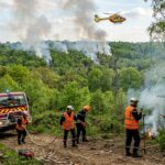 Seine-et-Marne : Deux Hommes en Garde à Vue Après Multiples Feux de Forêt