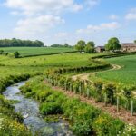 Seine-Maritime : 3500 Mètres de Haies pour une Eau Plus Pure