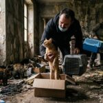 Seine-Saint-Denis : Une Cinquantaine de Chats Sauvées d’un Logement Insalubre