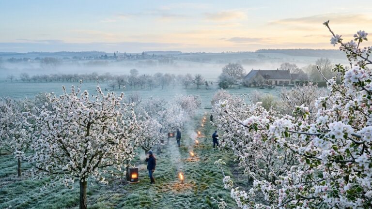 Températures Froides en Mai : Gelée Menace l&rsquo;Île-de-France Mardi Matin